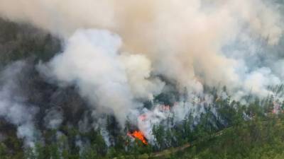В МЧС рассказали о ситуации с природными пожарами в Якутии