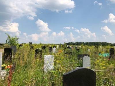 Жители посёлков под Уфой высказались против строительства кладбища