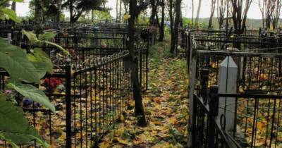 Десантник подрался с могильщиками на кладбище в Новой Москве