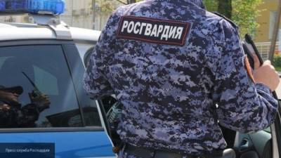 Росгвардейцы за полгода нейтрализовали восемь террористов на Северном Кавказе