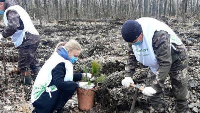 В Ульяновской области проведут акцию по сохранению леса