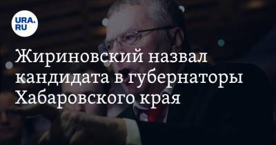 Жириновский назвал кандидата в губернаторы Хабаровского края