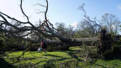Число жертв урагана «Лаура» в США возросло до 16