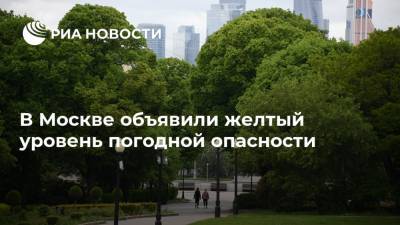 В Москве объявили желтый уровень погодной опасности