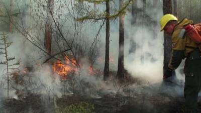 Самая тяжелая ситуация с лесными пожарами – в Красноярском крае