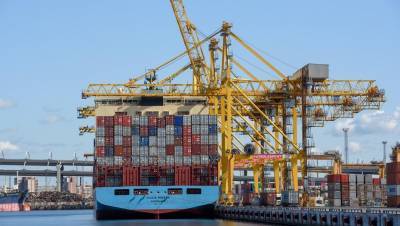 Нокдаун для внешней торговли: импорт в СЗФО пострадал сильнее экспорта