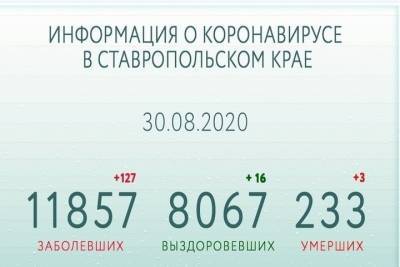 На Ставрополье за сутки сделали 6 тысяч тестов на COVID-19