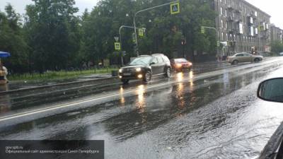 Синоптики предсказали кратковременные дожди в Петербурге 30 августа