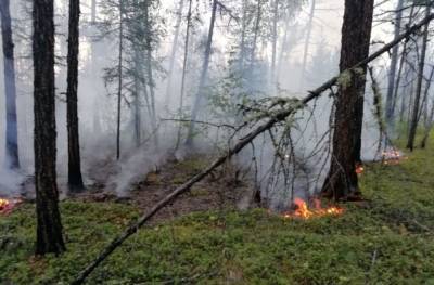 В Якутии лесной пожар приблизился к заводу по производству пропана