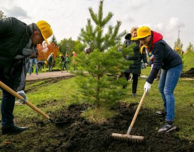 В Ленобласти осенью этого года восстановят леса на площади 10 тыс. га
