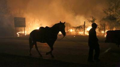 Более 2 тысяч человек эвакуировали в Испании из-за крупного лесного пожара