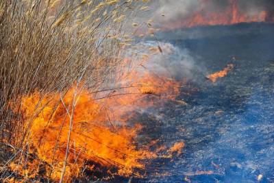 Жителей Волгоградской области испугал столб дыма от пожара: фото