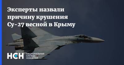 Эксперты назвали причину крушения Су-27 весной в Крыму