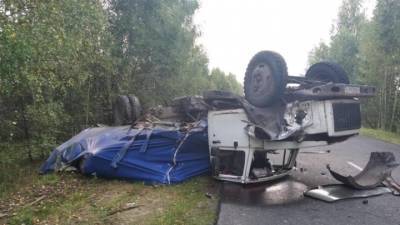 Перевернул грузовик и погиб: момент "пьяного" ДТП в Марий Эл попал на видео
