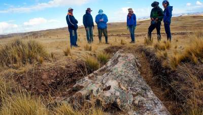 На безжизненном плато в Перу нашли гигантское дерево возрастом 10 млн лет