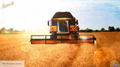Agrarheute: аномалия на рынке зерна сыграла в пользу России