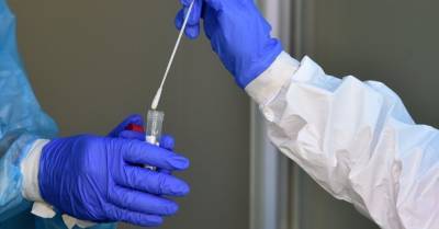 В Литве за сутки подтверждено 35 новых случаев коронавируса; в Эстонии - 10
