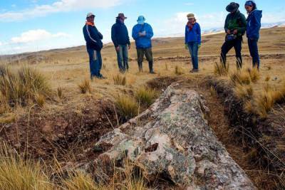В Перу обнаружили дерево возрастом 10 млн лет