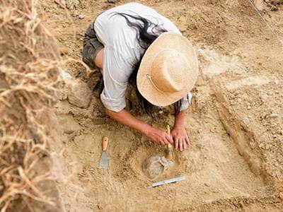 В Херсонской области археологи обнаружили артефакты скифских времен
