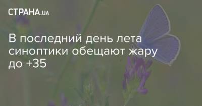 В последний день лета синоптики обещают жару до +35