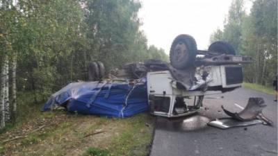 Пьяный водитель погиб в ДТП в Марий Эл