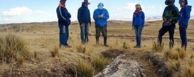 В горах Перу нашли огромное окаменелое дерево