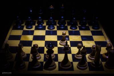 Россияне стали победителем первой в истории шахматной онлайн-олимпиады