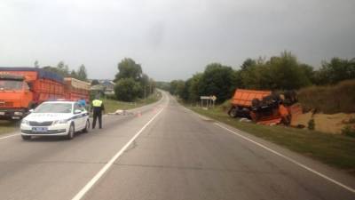 В Курской области водитель КамАЗа не пережил столкновения с лошадью
