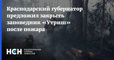 Краснодарский губернатор предложил закрыть заповедник «Утриш» после пожара