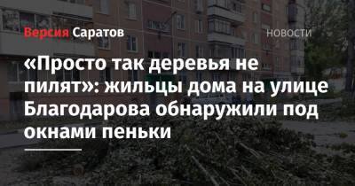 «Просто так деревья не пилят»: жильцы дома на улице Благодарова обнаружили под окнами пеньки