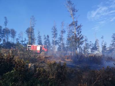 На территории Боржоми-Харагаульского национального парка тушат пожар