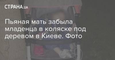 Пьяная мать забыла младенца в коляске под деревом в Киеве. Фото
