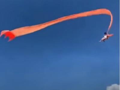 На Тайвани воздушный змей унес 3-летнюю девочку в небо