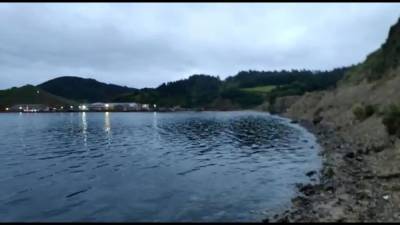 Рыбокомбинат "Островной" отрицает причастность к загрязнению бухты на Шикотане
