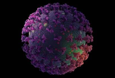 В Индонезии ученые выявили мутировавший штамм коронавируса