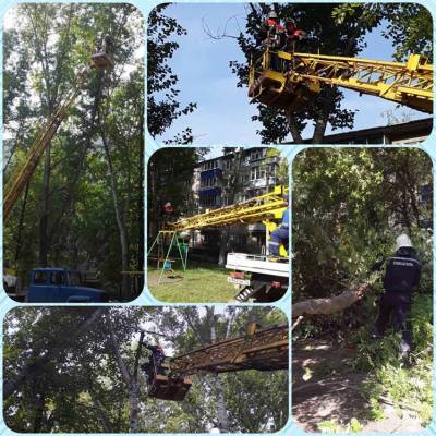 В Засвияжье Ульяновска убрали аварийные деревья