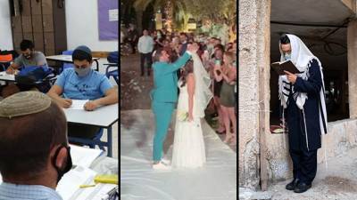 Как будет работать программа "Светофор": учеба, праздники и свадьбы