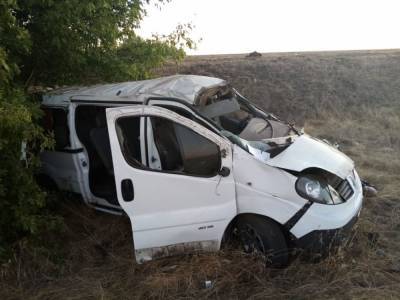 В Воронежской области микроавтобус вылетел в кювет - 2 погибли, 5 пострадали