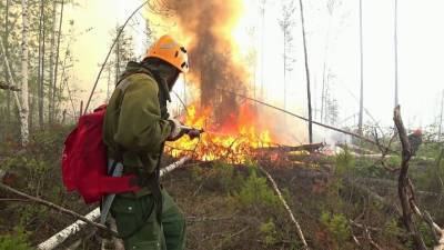 Самая сложная ситуация с природными пожарами сохраняется в Красноярском крае