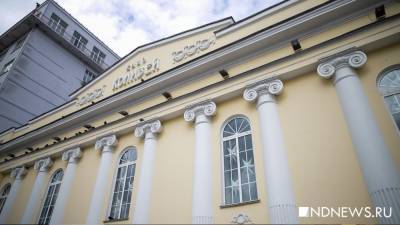 Иностранные театры не приедут в Екатеринбург на фестиваль кукольников