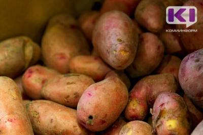 В Коми упразднена карантинная фитосанитарная зона по картофельной нематоде