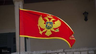 Выборы в Черногории могут изменить курс отношений с Россией