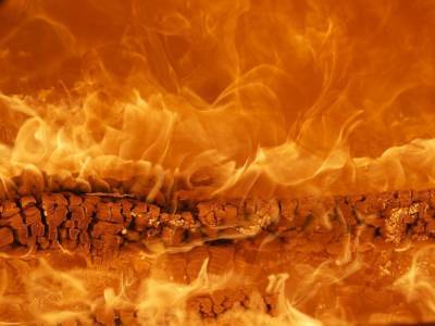 МЧС предупреждает о высокой пожароопасности лесов в Нижегородской области
