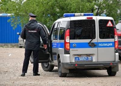 Полиция задержала 11 человек после драки в парке Москвы