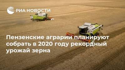 Пензенские аграрии планируют собрать в 2020 году рекордный урожай зерна