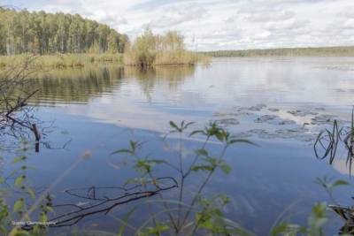 В Ивановской области планируют разводить редкие виды промысловых рыб