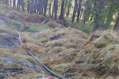 В Рославльском районе сгорело четыре тонны сена
