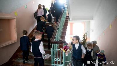 Депутаты Курганской области узаконили бесплатные школьные обеды для младшеклассников