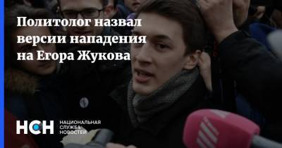Политолог назвал версии нападения на Егора Жукова