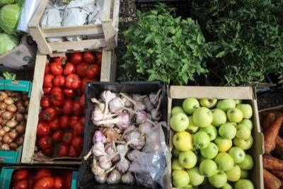 Правительство планирует к 2024 году вывести Дальний Восток на среднероссийский уровень самообеспечения овощами